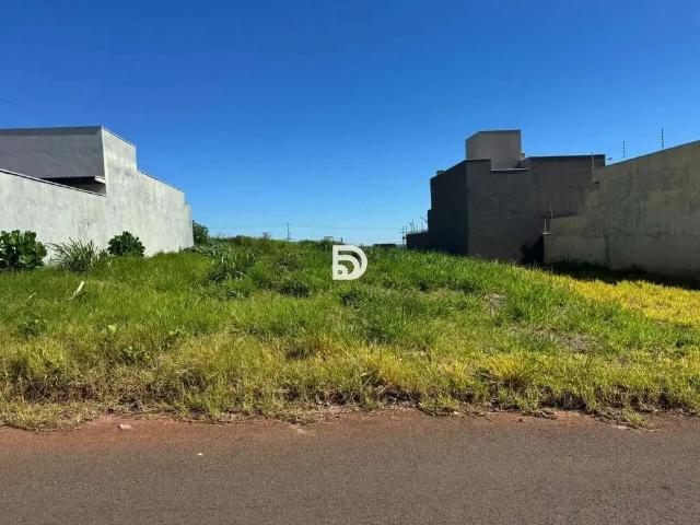 Terreno / Lote para Venda em Porto Rico/PR Loteamento Riviera