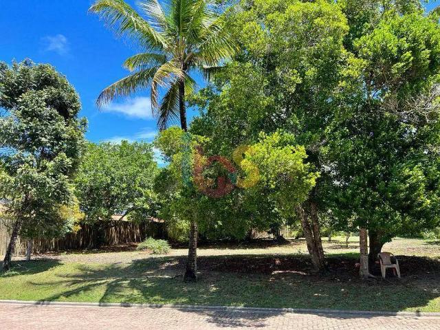 Terreno / Lote para Venda em Porto Seguro/BA Trancoso