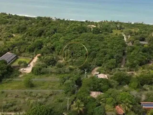 Terreno / Lote para Venda em Porto Seguro/BA Trancoso