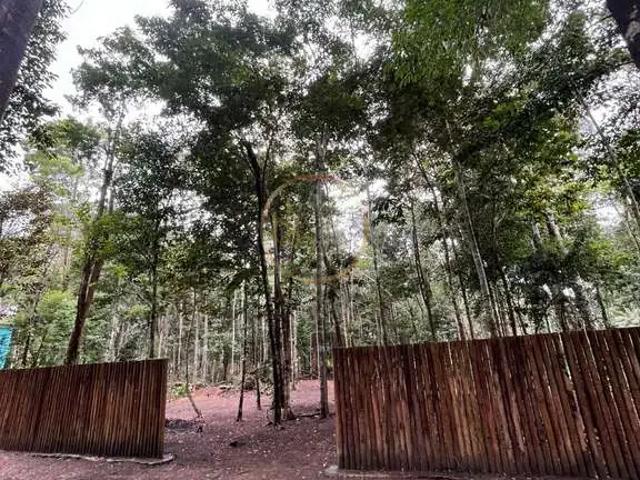 Terreno / Lote para Venda em Porto Seguro/BA Trancoso