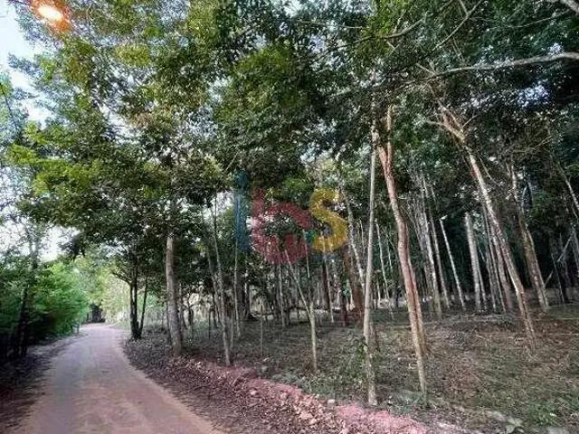 Terreno / Lote para Venda em Porto Seguro/BA Trancoso