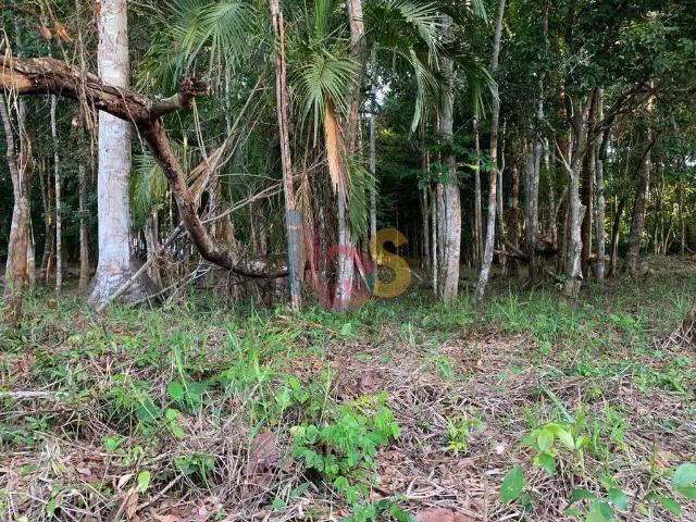 Terreno / Lote para Venda em Porto Seguro/BA Trancoso