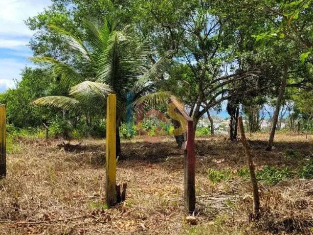 Terreno / Lote para Venda em Porto Seguro/BA Village II