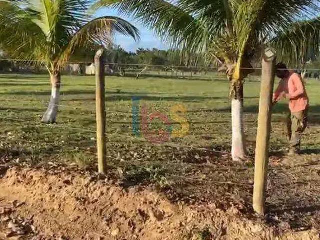 Terreno / Lote para Venda em Porto Seguro/BA Zona Rural
