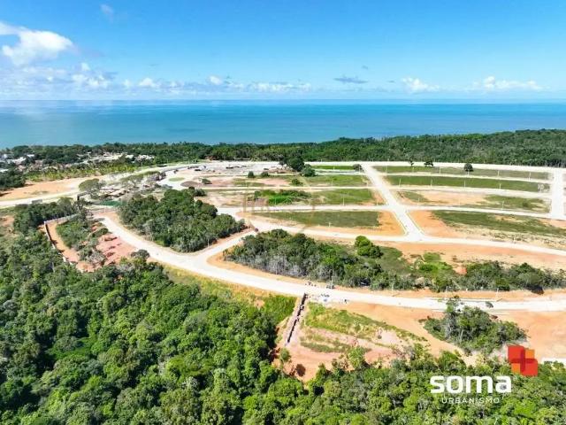 Terreno / Lote para Venda em Porto Seguro/BA Alto Do Mundaí