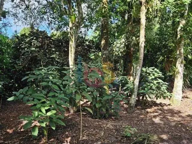 Terreno / Lote para Venda em Porto Seguro/BA Arraial D´Ajuda