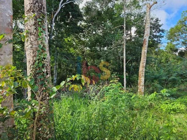 Terreno / Lote para Venda em Porto Seguro/BA Arraial D´Ajuda
