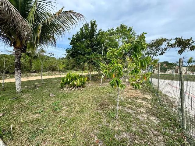 Terreno / Lote para Venda em Porto Seguro/BA Arraial D´Ajuda