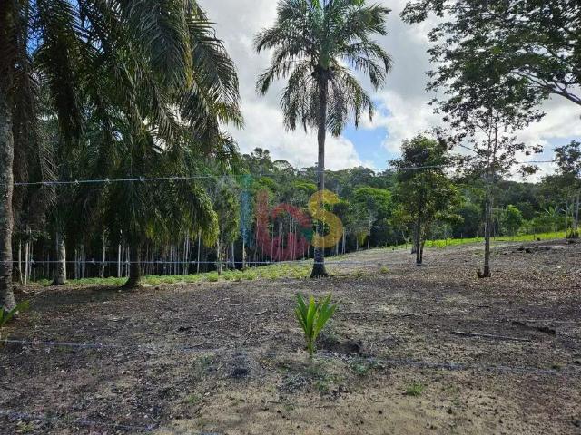 Terreno / Lote para Venda em Porto Seguro/BA Arraial D´Ajuda