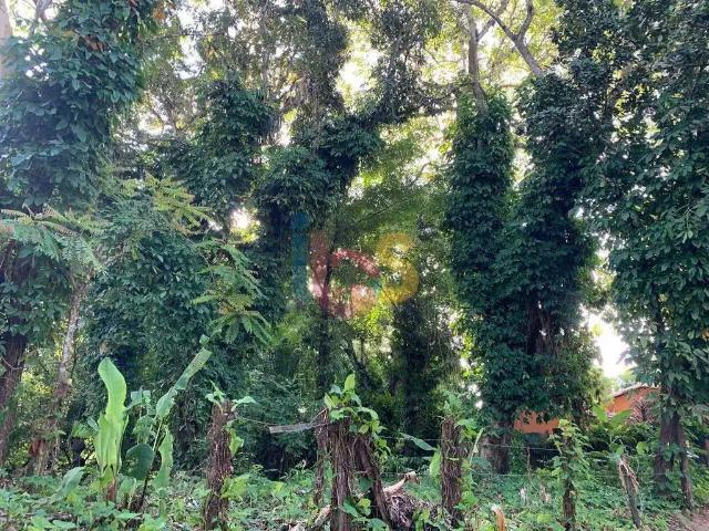 Terreno / Lote para Venda em Porto Seguro/BA Centro Histórico