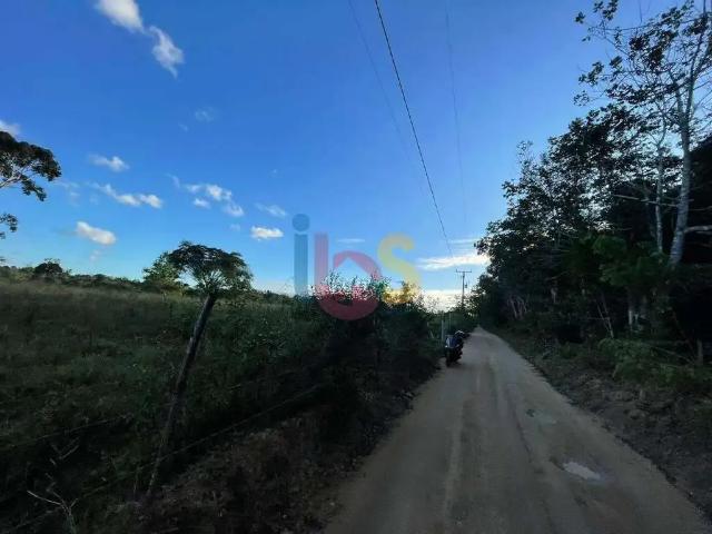 Terreno / Lote para Venda em Porto Seguro/BA Imbiruçu de Dentro
