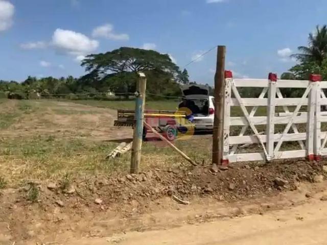 Terreno / Lote para Venda em Porto Seguro/BA Imbiruçu de Dentro