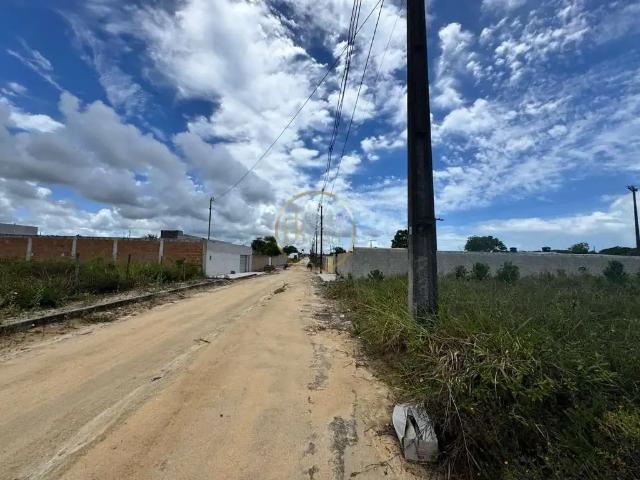 Terreno / Lote para Venda em Porto Seguro/BA Olhos D'Água