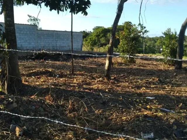 Terreno / Lote para Venda em Porto Seguro/BA Orla Norte