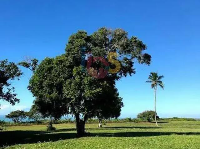 Terreno / Lote para Venda em Porto Seguro/BA Outeiro do São Francisco
