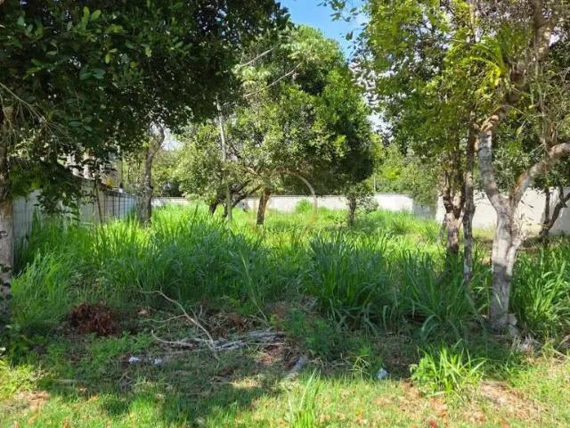 Terreno / Lote para Venda em Porto Seguro/BA Outeiro do São Francisco