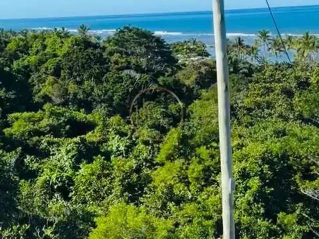 Terreno / Lote para Venda em Porto Seguro/BA Praia do Mutá