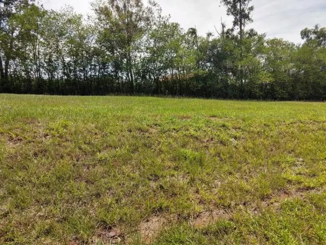 Terreno / Lote para Venda em Porangaba/SP Ninho Verde I Eco Residence