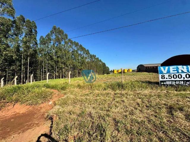 Terreno / Lote para Venda em Porecatu/PR Centro