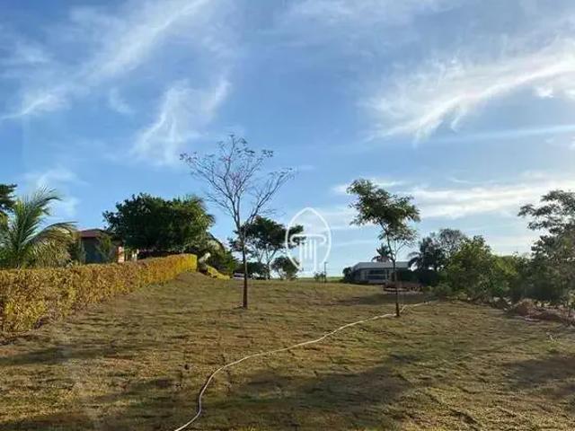 Terreno / Lote para Venda em Porecatu/PR Zona Rural