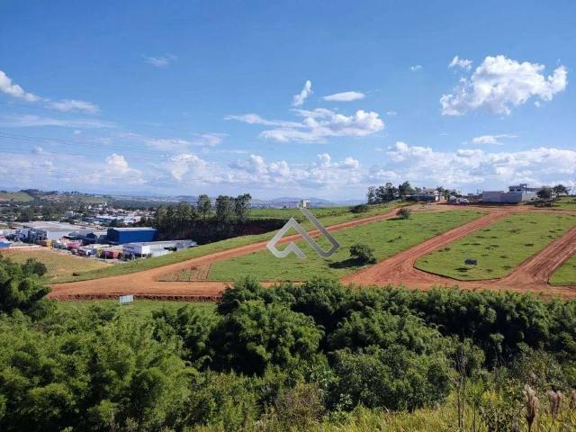 Terreno / Lote para Venda em Pouso Alegre/MG Villaggio