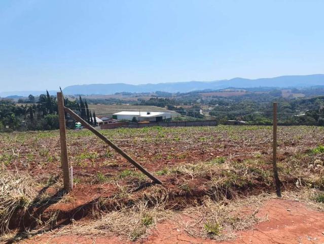 Terreno / Lote para Venda em Pouso Alegre/MG Afonsos