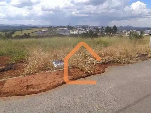 Terreno / Lote para Venda em Pouso Alegre/MG Colina do Rei