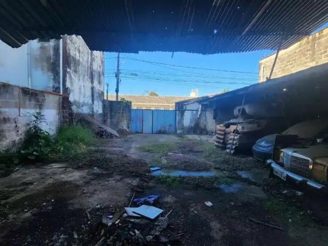 Terreno / Lote para Venda em Pouso Alegre/MG Árvore Grande