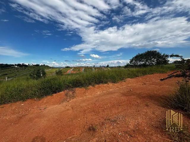 Terreno / Lote para Venda em Pouso Alegre/MG Cantagalo