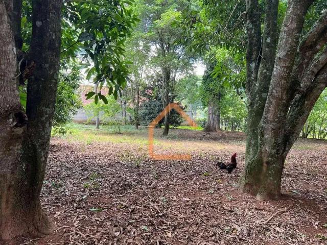 Terreno / Lote para Venda em Pouso Alegre/MG Cervo