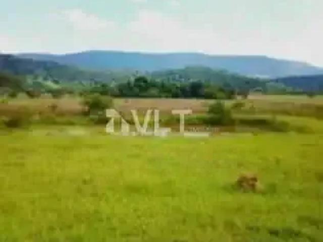 Terreno / Lote para Venda em Pouso Alegre/MG Cervo