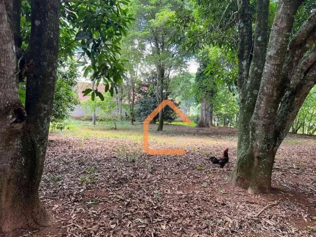 Terreno / Lote para Venda em Pouso Alegre/MG Cervo