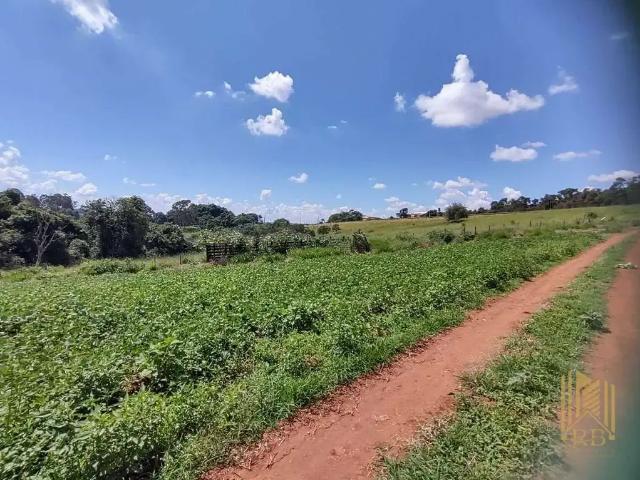 Terreno / Lote para Venda em Pouso Alegre/MG Cruz Alta