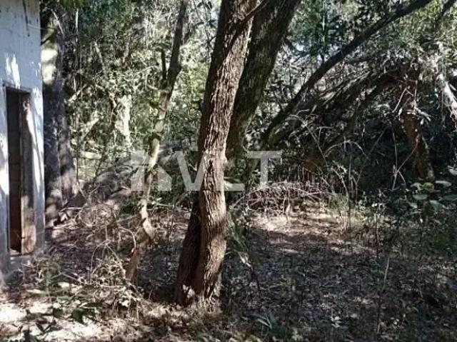 Terreno / Lote para Venda em Pouso Alegre/MG Faisqueira