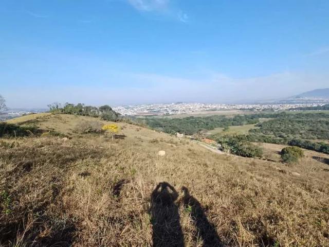 Terreno / Lote para Venda em Pouso Alegre/MG Ipiranga