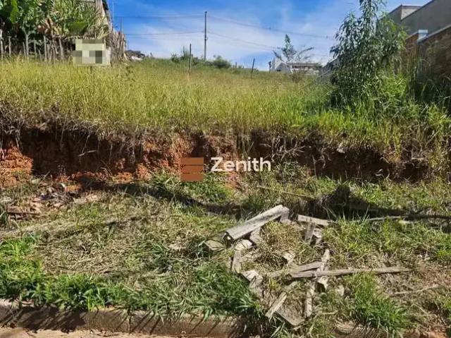 Terreno / Lote para Venda em Pouso Alegre/MG Pitangueiras