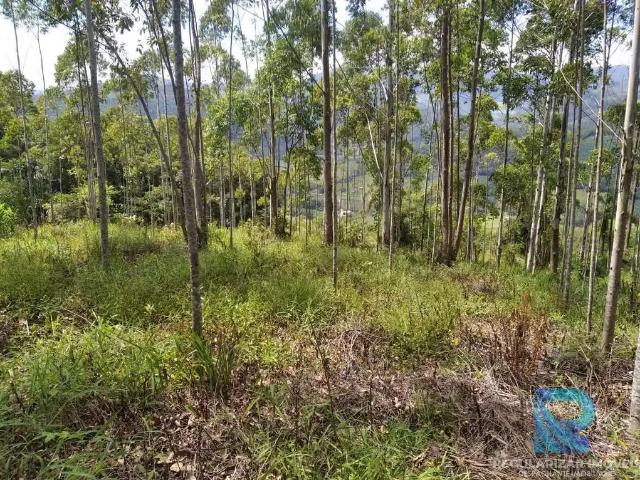 Terreno / Lote para Venda em Praia Grande/SC Alto da Esperança
