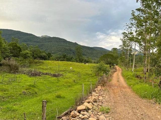 Terreno / Lote para Venda em Praia Grande/SC Cachoeira de Fátima