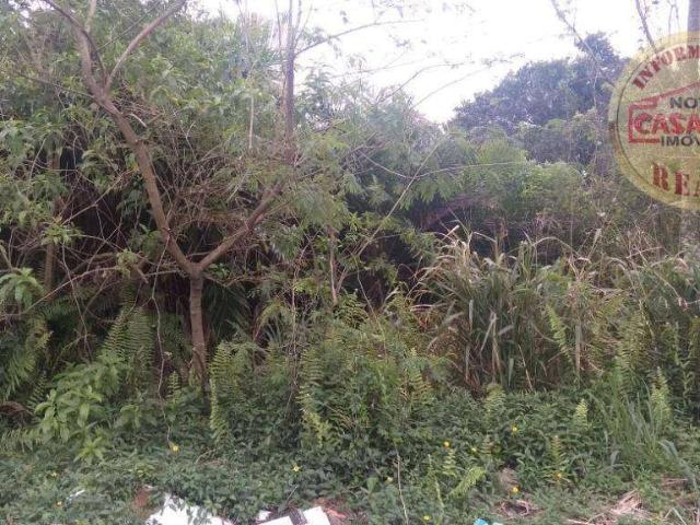Terreno / Lote para Venda em Praia Grande/SP Vila Mirim