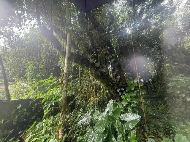 Terreno / Lote para Venda em Praia Grande/SP Canto do Forte