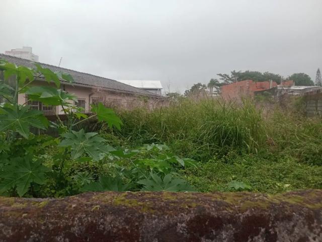 Terreno / Lote para Venda em Praia Grande/SP Solemar