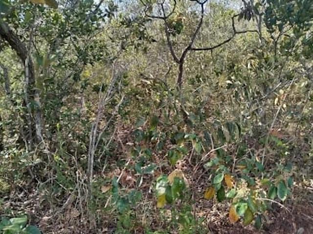 Terreno / Lote para Venda em Presidente Olegário/MG Centro