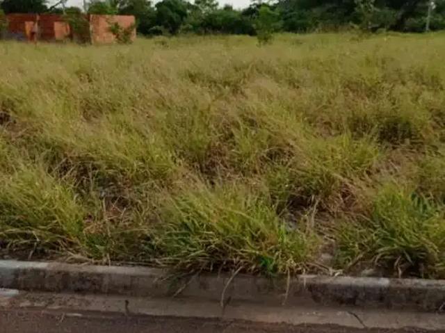 Terreno / Lote para Venda em Presidente Epitácio/SP Jardim Aeroporto
