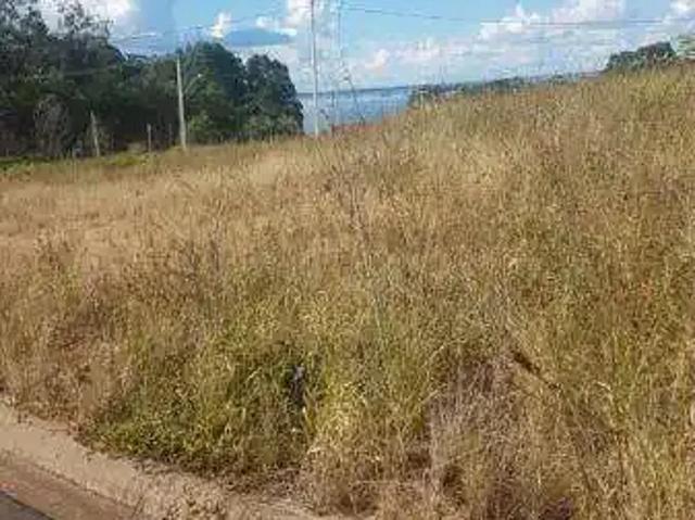 Terreno / Lote para Venda em Presidente Epitácio/SP Jardim Aeroporto