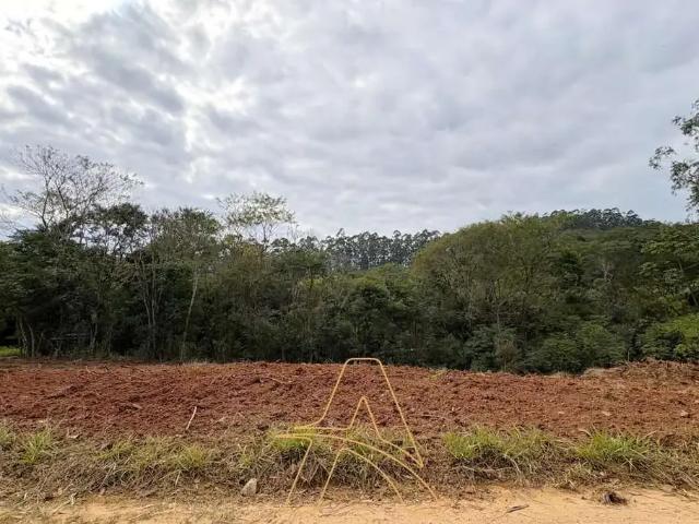 Terreno / Lote para Venda em Presidente Getúlio/SC Centro