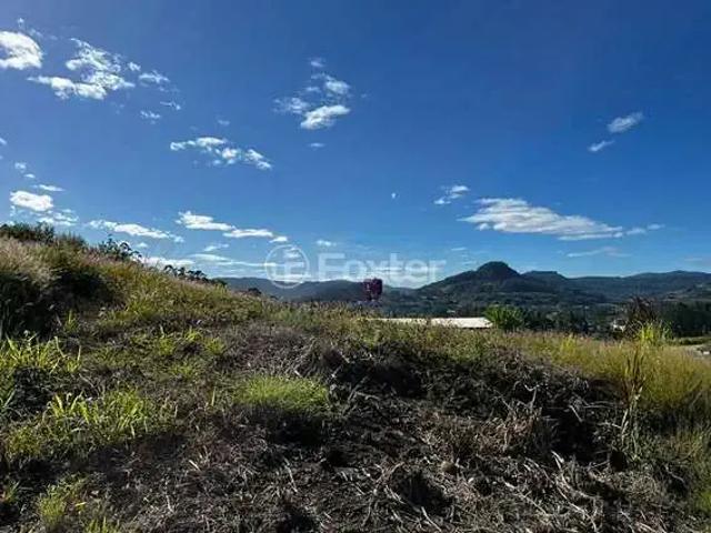 Terreno / Lote para Venda em Presidente Lucena/RS Centro