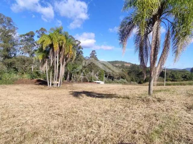 Terreno / Lote para Venda em Presidente Lucena/RS Centro