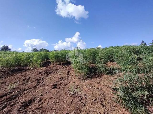 Terreno / Lote para Venda em Presidente Lucena/RS Centro 1 Quartos
