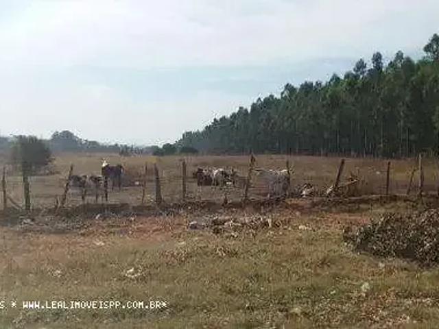 Terreno / Lote para Venda em Presidente Prudente/SP Conjunto Habitacional Jardim Humberto Salvador