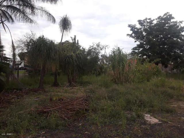 Terreno / Lote para Venda em Presidente Prudente/SP Brasil Novo